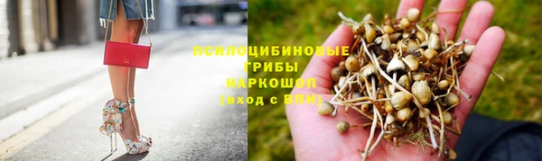 a pvp Михайловск